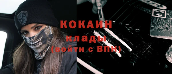 молекула духа Богданович