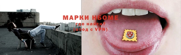 молекула духа Богданович