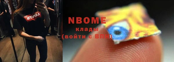 молекула духа Богданович