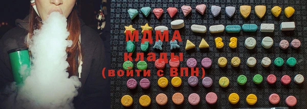 молекула духа Богданович