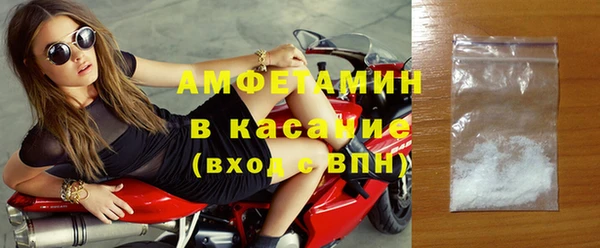 молекула духа Богданович