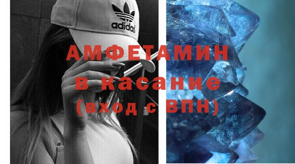 молекула духа Богданович