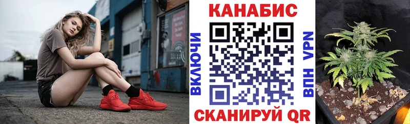 Конопля AK-47 Вязьма